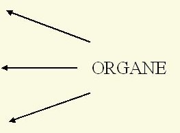 ORGANE