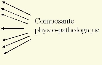 Composante physio-patologie